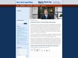 New York Legal Blog