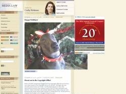 Silicon Valley Media Law Blog