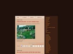 Idea Lawyer Blog