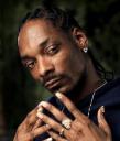 Snoop Dogg Felony